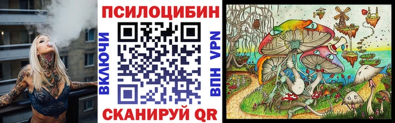 Псилоцибиновые грибы прущие грибы  Волгоград 