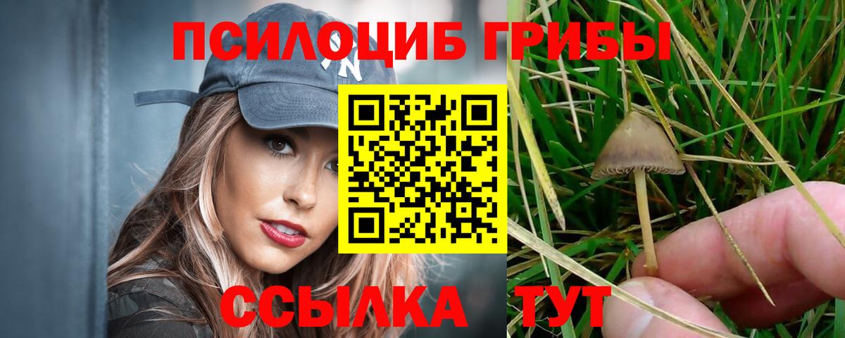 Псилоцибиновые грибы GOLDEN TEACHER Волгоград